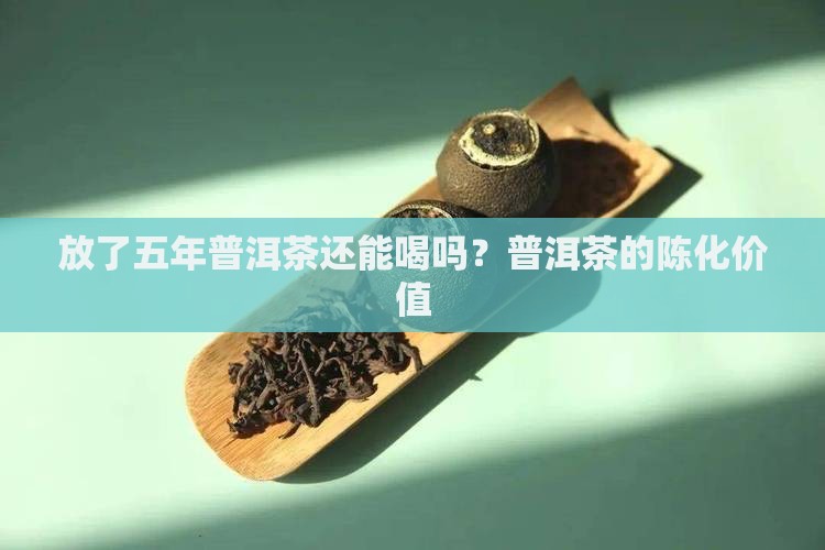 放了五年普洱茶怎么样