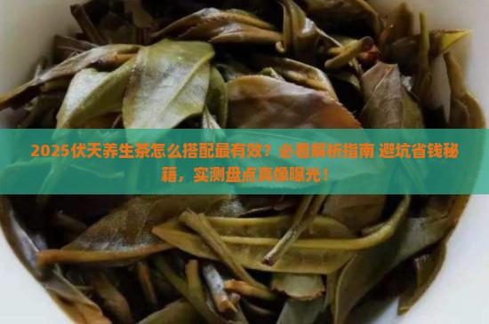 伏天养生茶怎么搭配