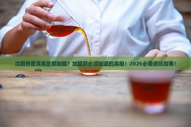 沈阳熟普洱茶总部加盟