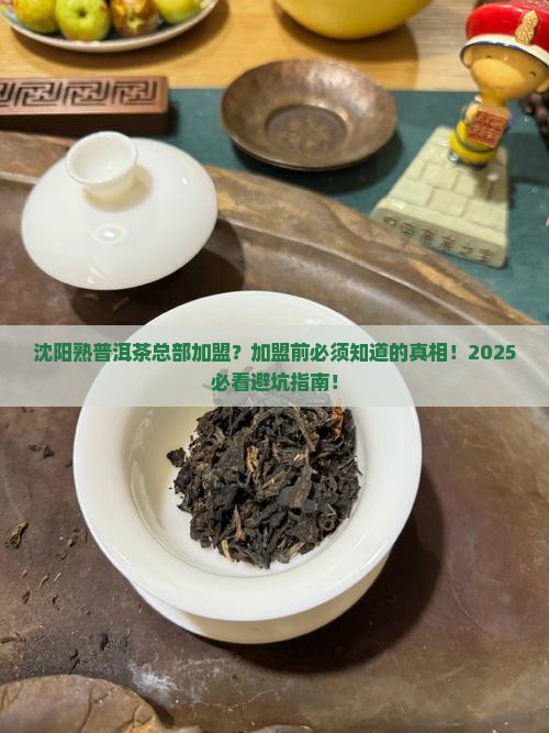 沈阳熟普洱茶总部加盟