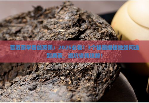 普洱茶学者詹英佩