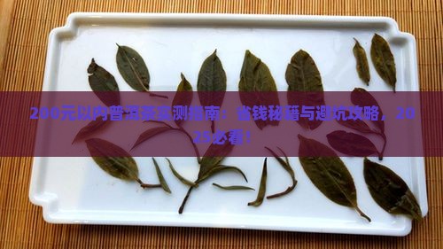200元以内普洱茶