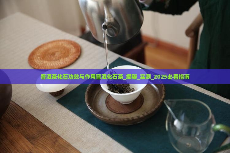 普洱茶化石功效与作用普洱化石茶
