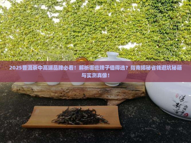 普洱茶中高端推荐什么牌子