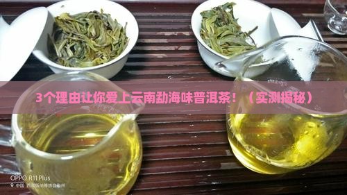 云南勐海味普洱茶特点