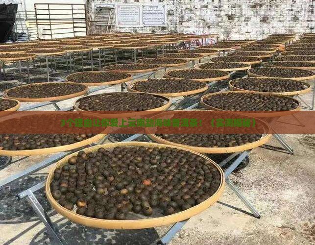 云南勐海味普洱茶特点
