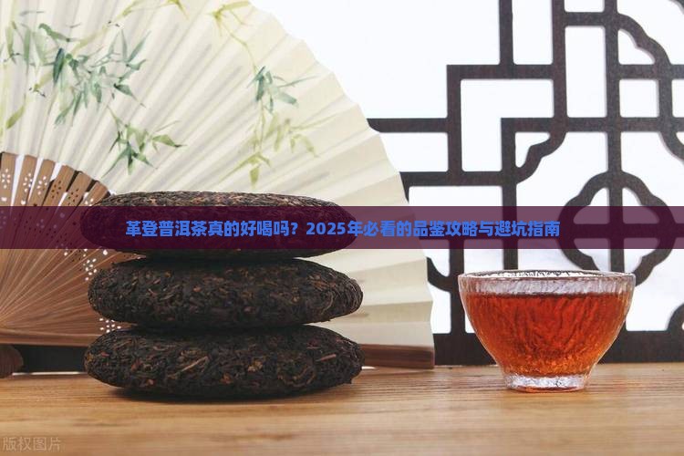 革登普洱茶好喝吗
