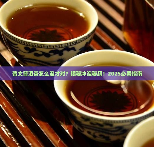 普文普洱茶冲泡