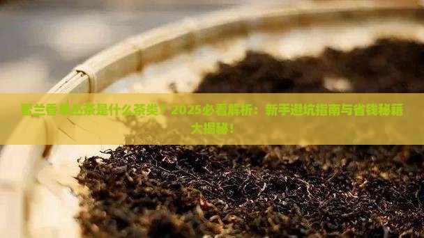 蜜兰香单丛茶是什么茶类