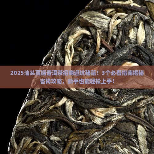 汕头高端普洱茶招商