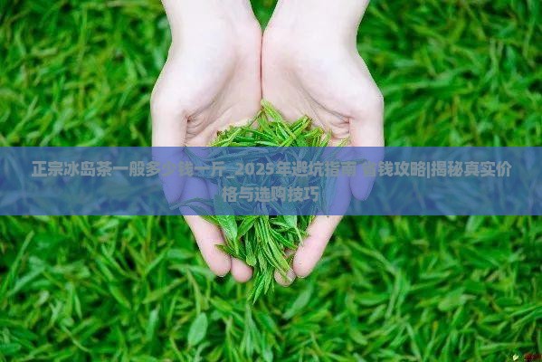 正宗冰岛茶一般多少钱一斤