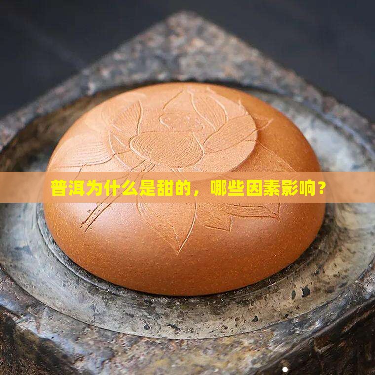 普洱为什么是甜的
