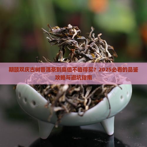 期颐双庆古树普洱茶