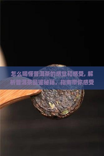 怎么喝懂普洱茶的感觉和感受