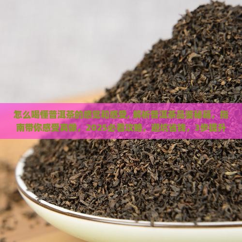怎么喝懂普洱茶的感觉和感受