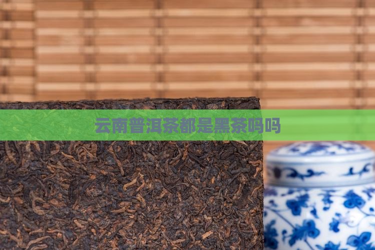 云南普洱茶都是黑茶吗吗