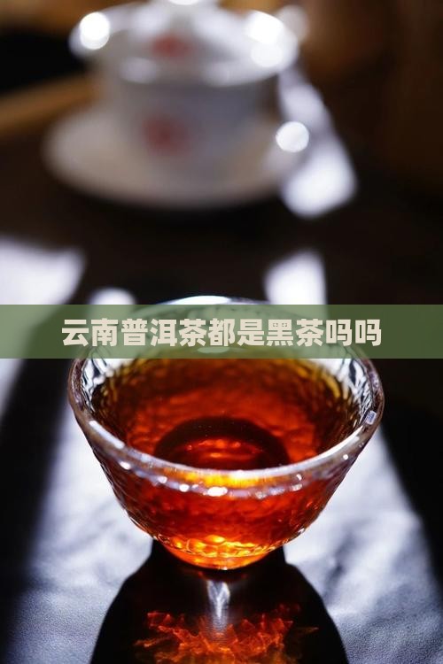 云南普洱茶都是黑茶吗吗