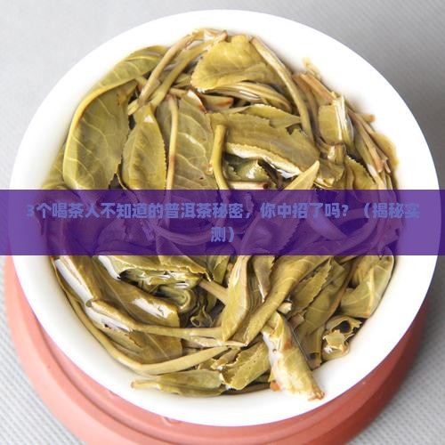 普洱茶的包容之美