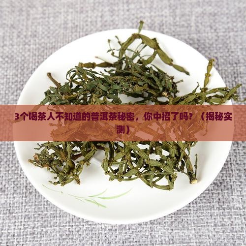 普洱茶的包容之美