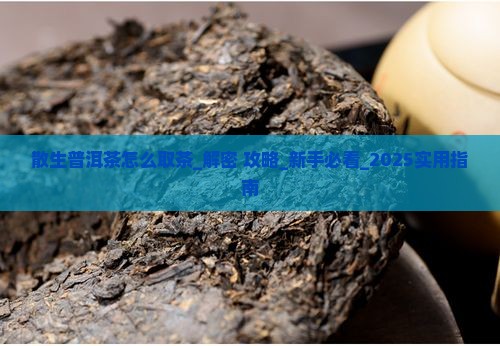 散生普洱茶怎么取茶