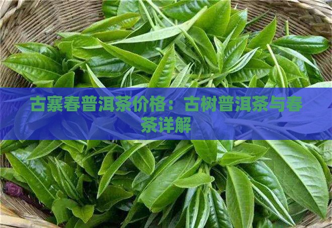 古寨春普洱茶多少钱
