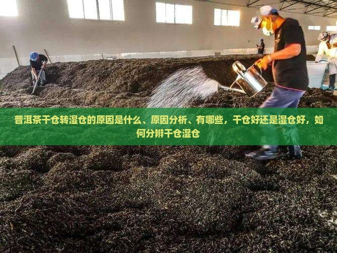 普洱茶干仓转湿仓的原因