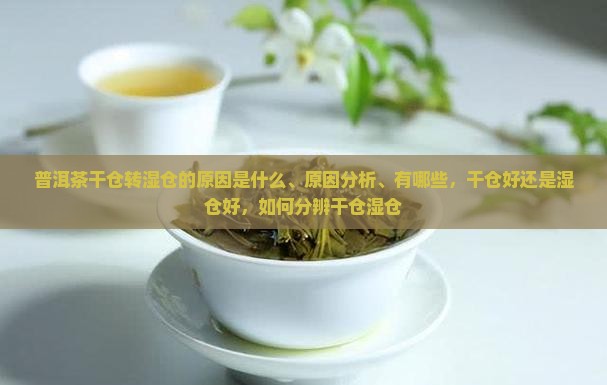 普洱茶干仓转湿仓的原因