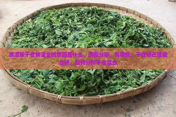 普洱茶干仓转湿仓的原因