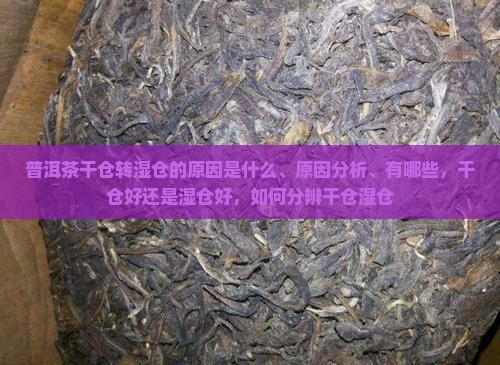 普洱茶干仓转湿仓的原因