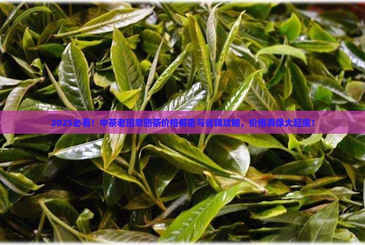 中茶老班章熟茶价格表