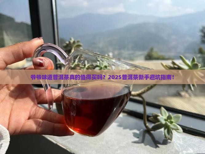 爷爷味道普洱茶