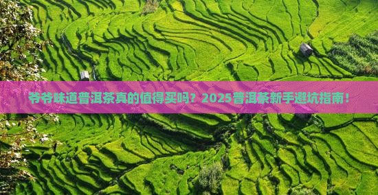 爷爷味道普洱茶