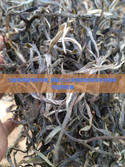 大益普洱袋泡茶价格