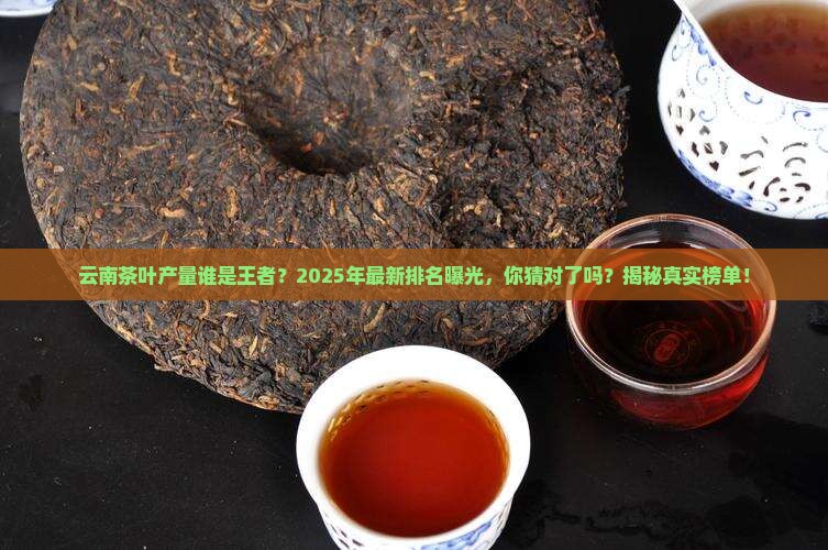 云南茶叶产量排名