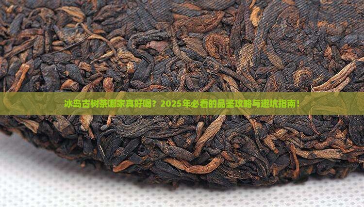 冰岛古树茶哪个品牌好喝