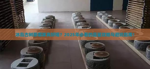 冰岛古树茶哪个品牌好喝