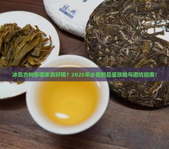 冰岛古树茶哪个品牌好喝