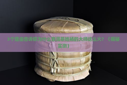 普洱茶姓杨的大师是谁啊