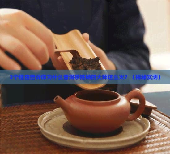 普洱茶姓杨的大师是谁啊