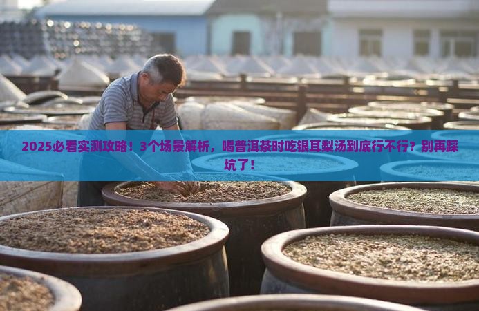喝普洱茶能吃银耳梨汤吗