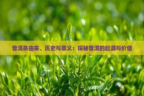 普洱茶由来和意义