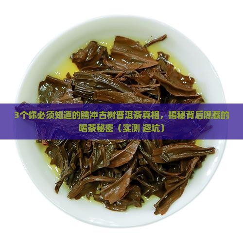 腾冲古树普洱茶特点介绍