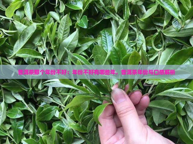 普洱茶那个年份不好