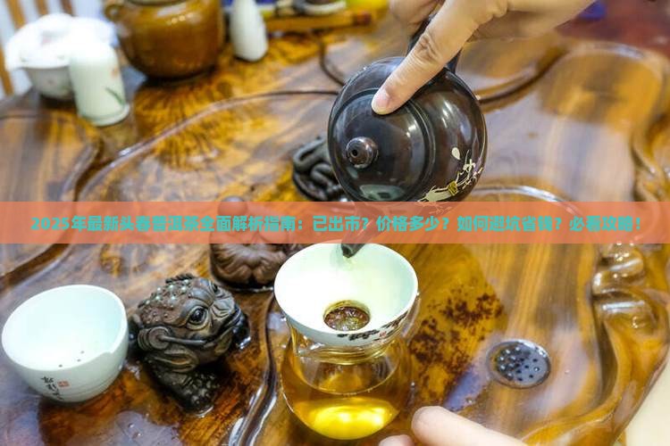 今年的头春普洱茶出了吗