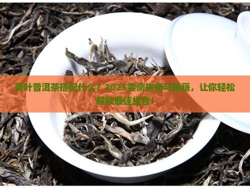 荷叶普洱茶搭配什么
