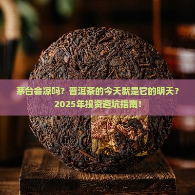 茅台会不会像普洱茶