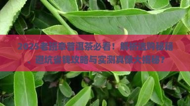 一个老班章的普洱茶 一个老班章的普洱茶