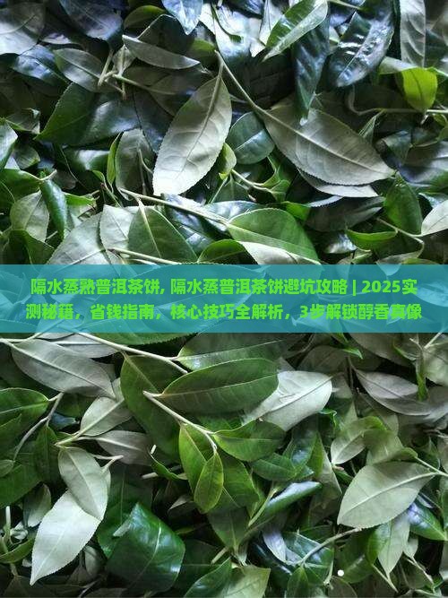 隔水蒸熟普洱茶饼