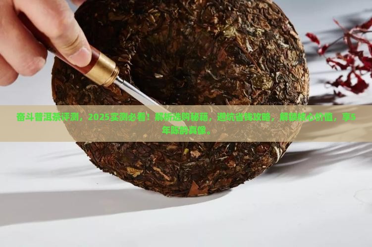 奋斗普洱茶评测