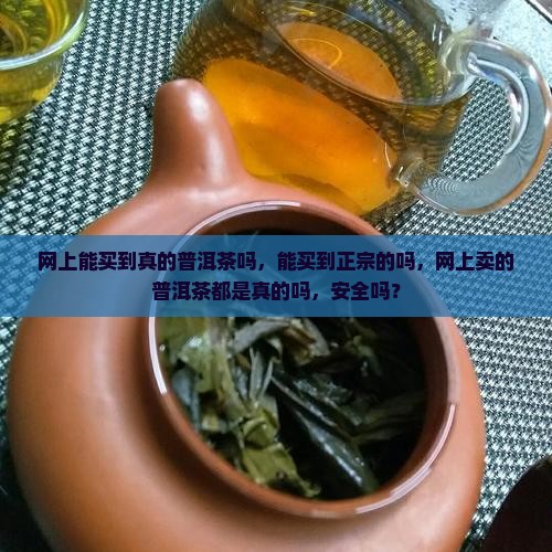 网上能买到真的普洱茶吗